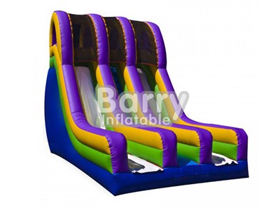 Guangzhou Barry High Quality Cheap Inflatable Dry Slide For Kids BY-DS-060